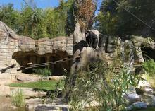 Schimpanse Max erobert die neue Außenanlage