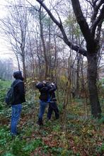 Baumprüfung (Foto 1)