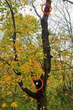 Zwei Höhlen (Foto 3)