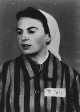 Orli Wald