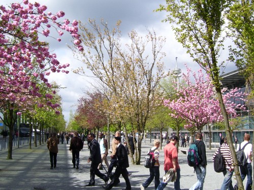 Messegelände in Hannover: Hier trifft sich die IT-Branche im Frühjahr zur Cebit Messegelände in Hannover: Hier trifft sich die IT-Branche im Frühjahr zur Cebit