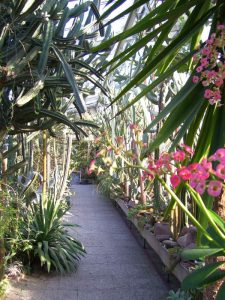 Schauhaus im Berggarten