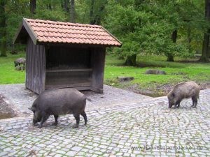 Tiergarten