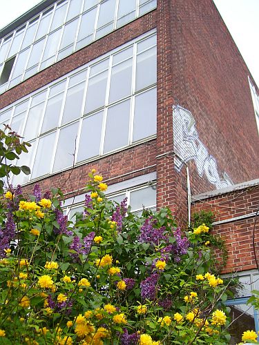 blog 2010-04-29fassade2