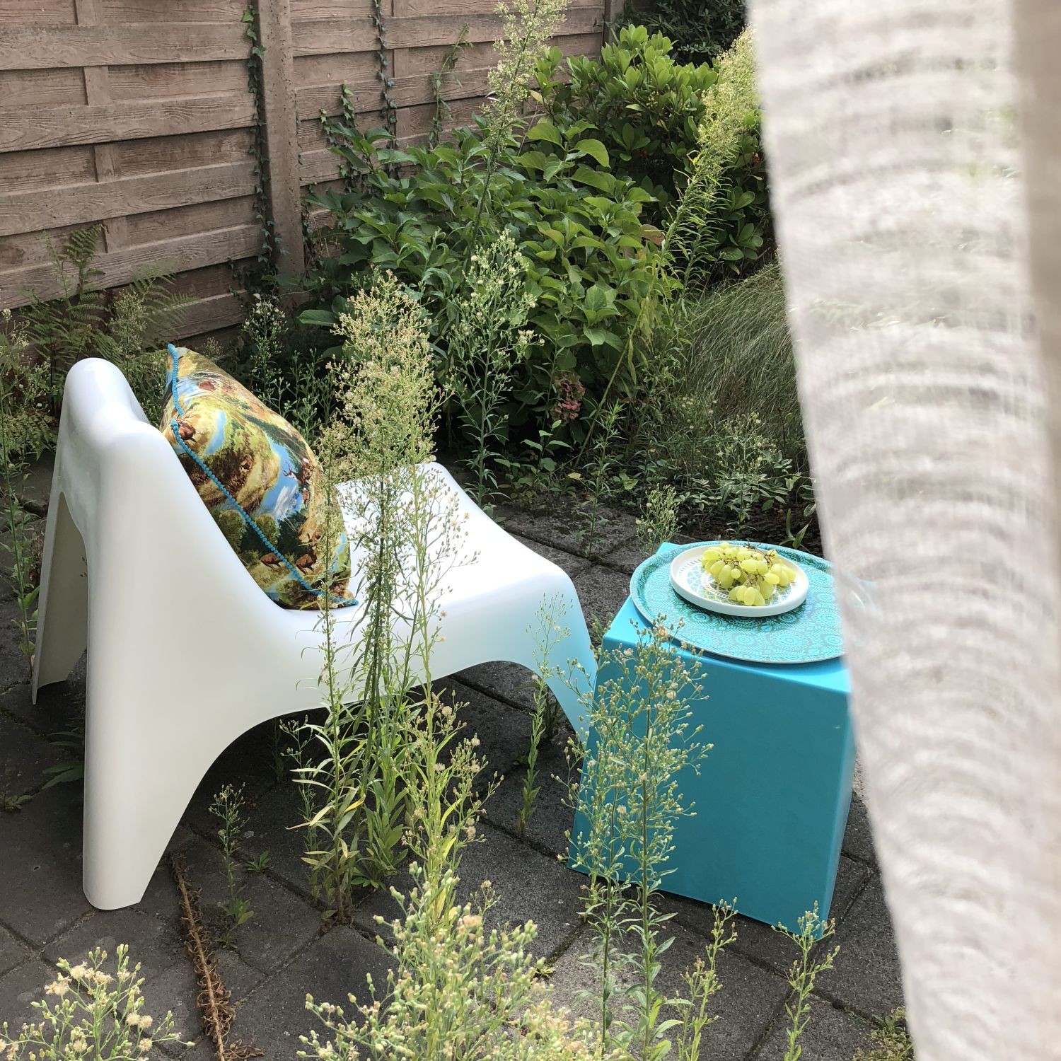 wilder garten