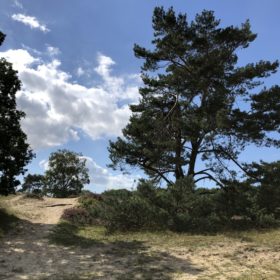 wandeling brabantse wal