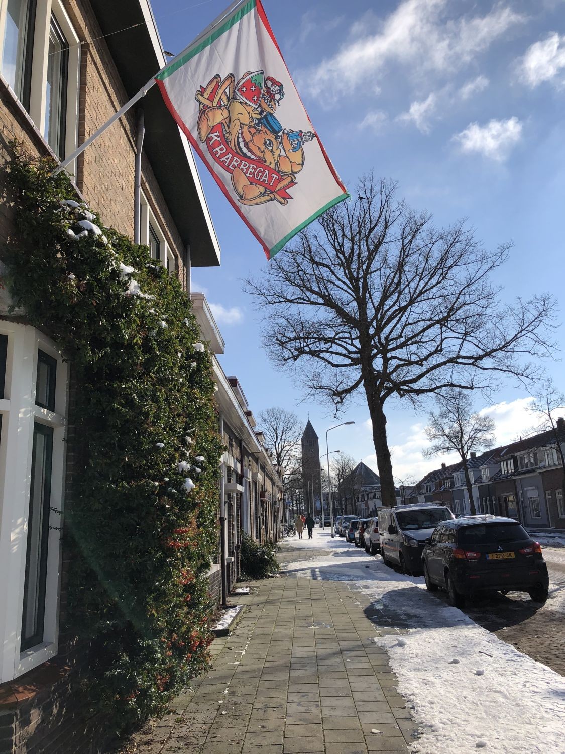 Flagge mit Karnevalsmotiv