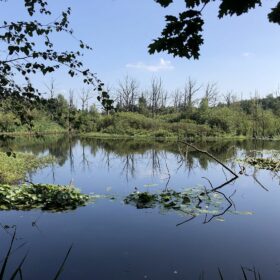 Urlaub in den Niederlanden Zoomland