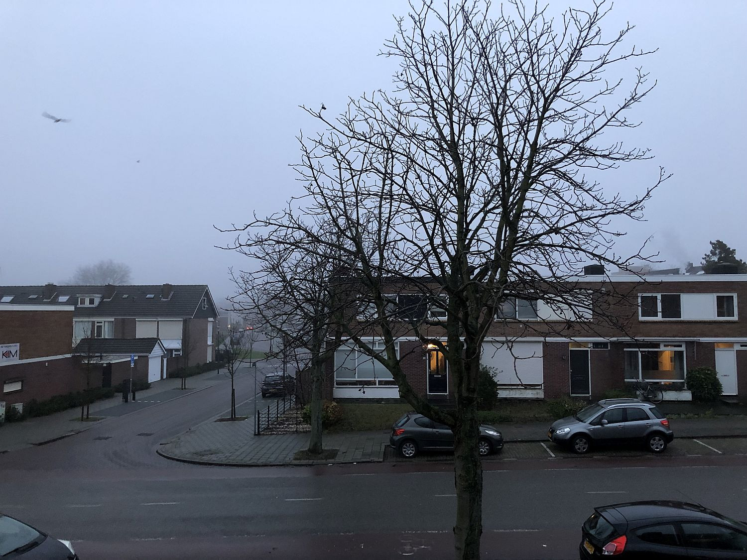 nebliger Morgen in den Niederlande