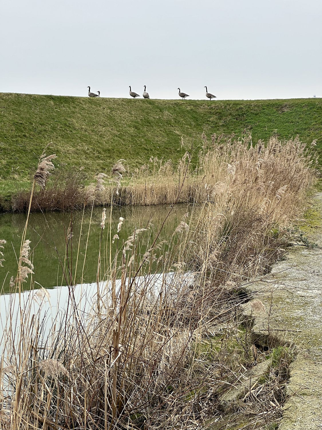 waterschans Bergen op Zoom