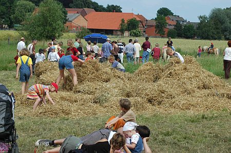kampfelder_hof_fest_3 kampfelder_hof_fest_3