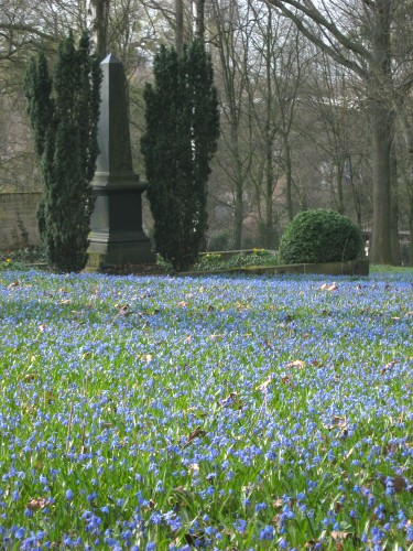 Bergfriedhof Bergfriedhof