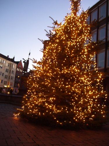 Weihnachtsbaum Lindener Markt