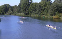 rvl_head_rennen_viele