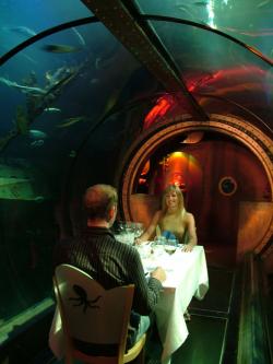 sealife-speed-dating