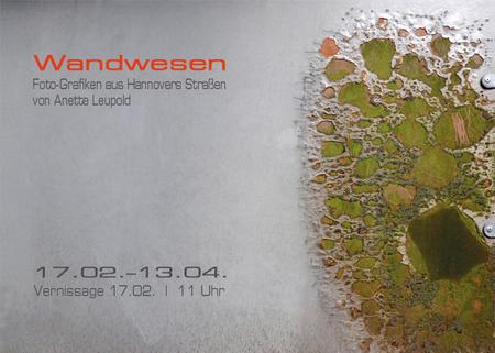 Wandwesen