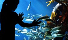 Kind am Becken (&copy; Sealife)