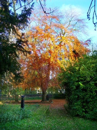 Bergfriedhof im Herbst Bergfriedhof im Herbst