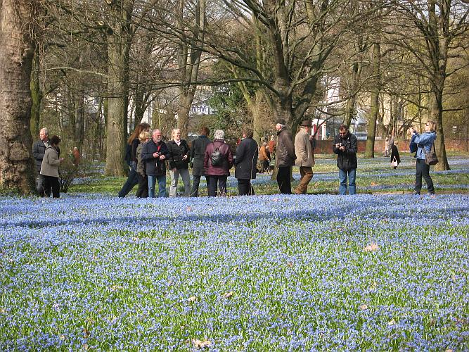 Das blaue Wunder am Karfreitag Das blaue Wunder am Karfreitag