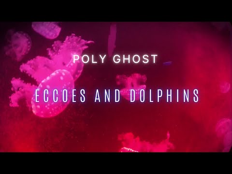 POLY GHOST - Eccoes and Dolphins (Official)