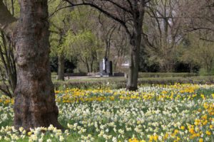 Osterglocken am Friedhof