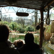 Sambesi-Fahrt im Zoo Hannover