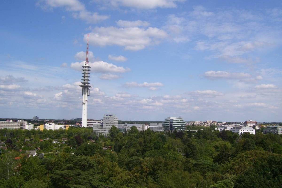 Blick über die Eilenriede