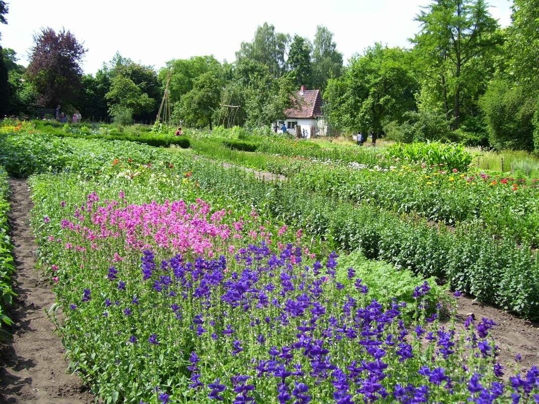 Schulgarten auf dem Lindener Berg