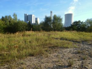 Wildnis und Industrie
