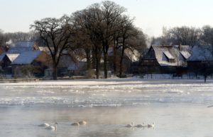 Winter am Steinhuder Meer