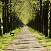Herrenhäuser Allee