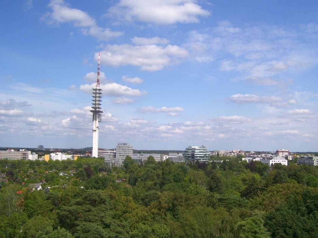 Blick über die Eilenriede