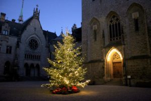 Weihnachtsbaum im Schloss Marienburg