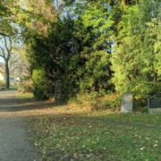 Grabsteine auf dem Friedhof Seelberg