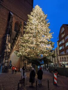 Weihnachtsbaum an der Marktkirche