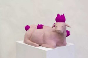 Der Euterhut der Kuh