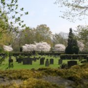 Fössefeldfriedhof