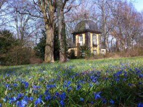Küchengartenpavillon mit Scillablüte