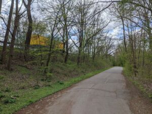 Bäume am Südschnellweg sollen dem Verkehr weichen