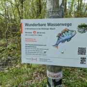 Wunderbare Wasserwege