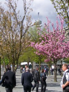 Frühling auf dem Messegelände