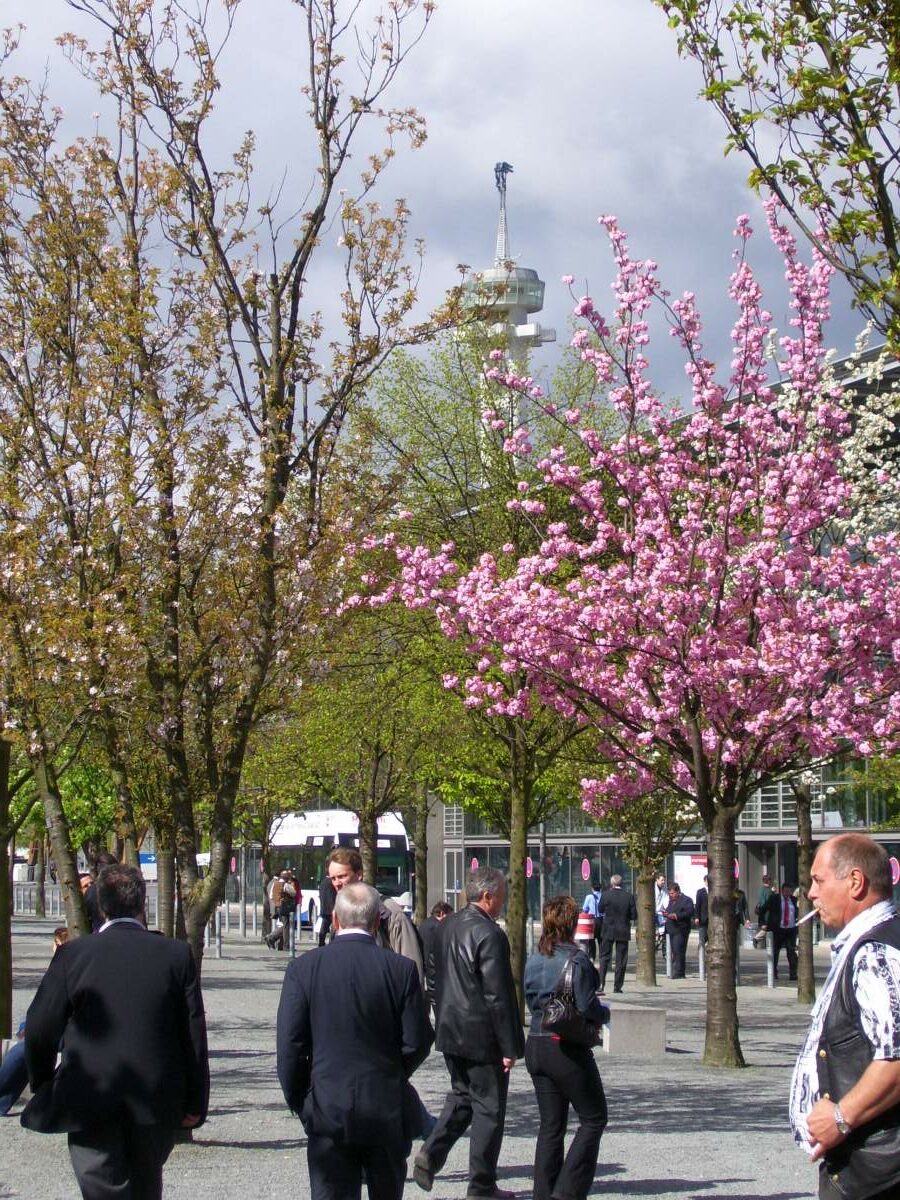 Frühling auf dem Messegelände