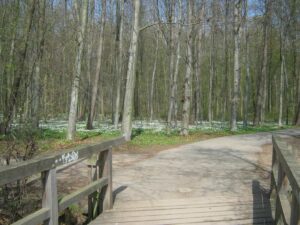 Hundeauslaufflächen in der Eilenriede Hannover