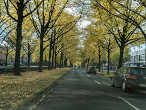 Hans-Böckler-Allee