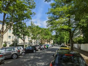 Mehr Straßenbäume für Hannover