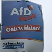 Geh wählen, aber nicht AfD