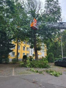Ast beschädigt parkenden PKW