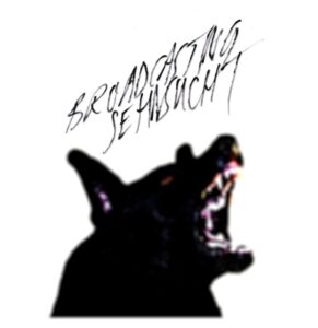 Broadcasting Sehnsucht