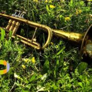 Parkmusik